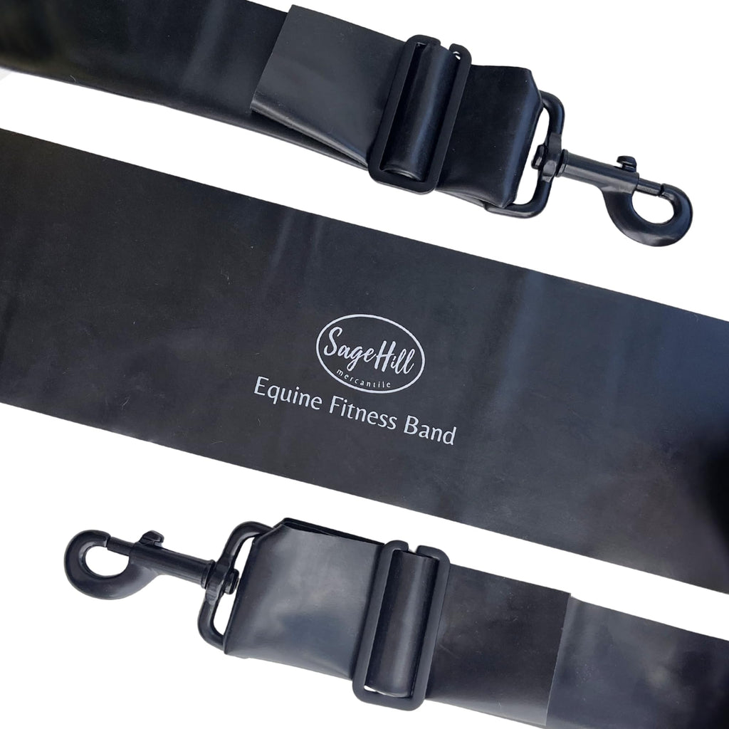 Equine Fitness Band