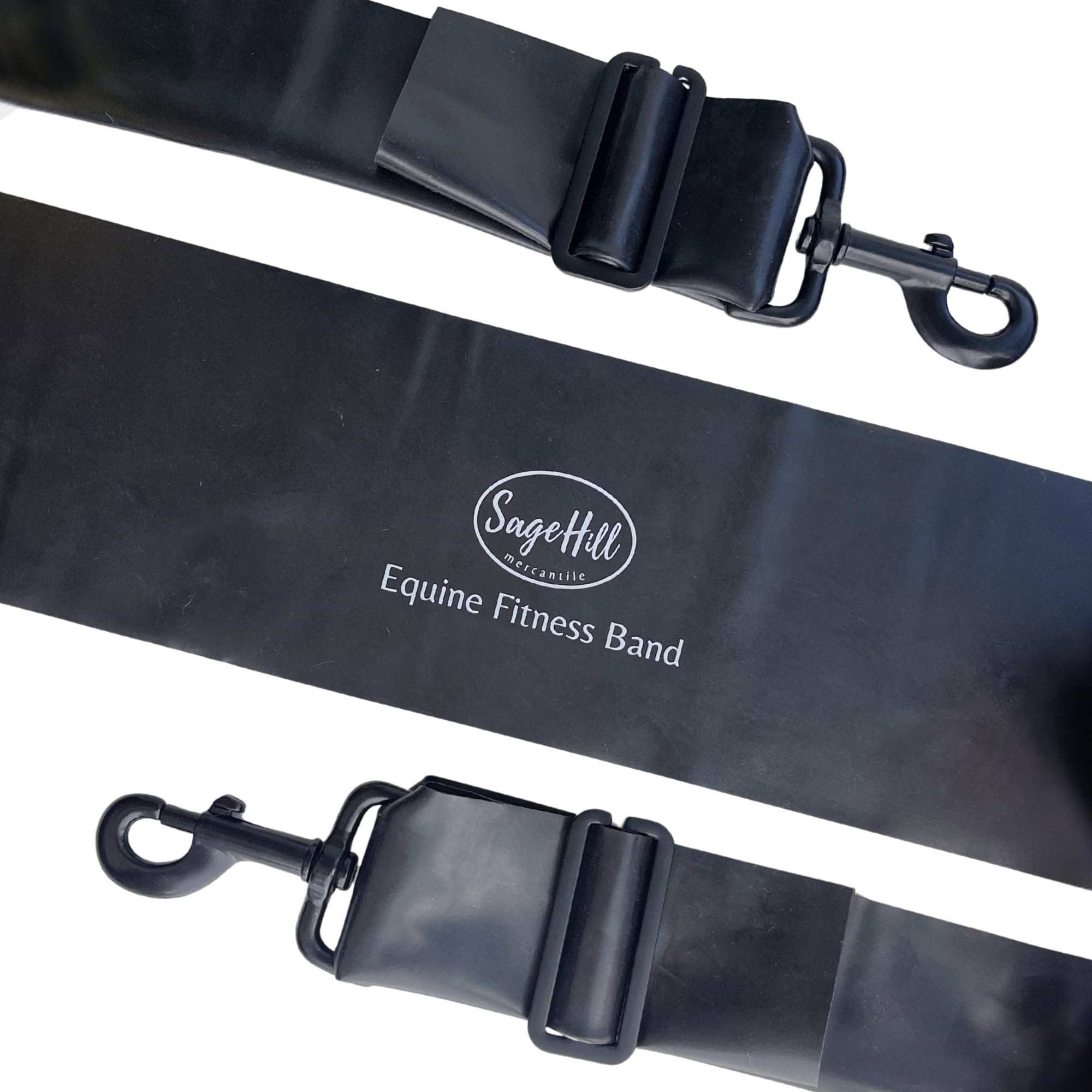 Equine Fitness Band